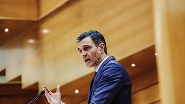 El presidente del Gobierno, Pedro Sánchez, comparece ante el Pleno del Senado, a 31 de enero de 2023, en Madrid (España). Esta comparecencia es la primera de este año que ha confrontado a Sánchez y al líder del PP, Alberto Núñez Feijóo. 
Carlos Luján / Europa Press
31/01/2023