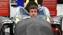 Fernando Alonso. 