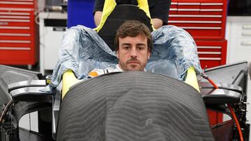 Fernando Alonso. 