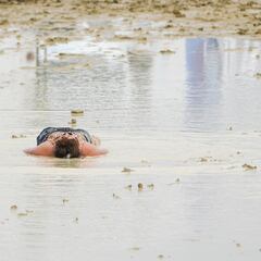 What are the prehistoric three-eyed ‘dinosaur shrimp’ resurfacing at Burning Man?