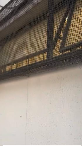 Así fue el ‘alocado’ festejo de la U tras ganar el Superclásico: el video ya es viral en redes