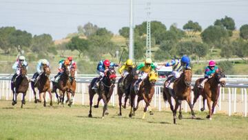 Llegada de una carrera en el hip&oacute;dromo de Dos Hermanas.