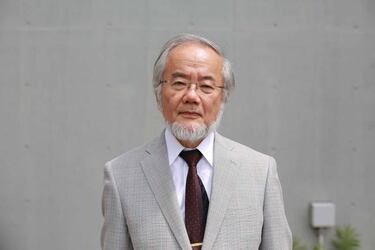 Yoshinori Ohsumi gana el Premio Nobel de Medicina