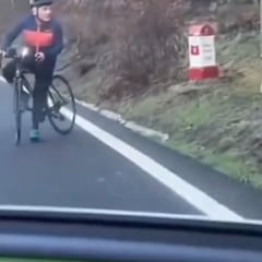 Un lobo persigue a un ciclista mientras desde un coche tratan de ahuyentarlo: se evitó la tragedia