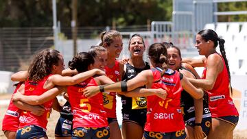 La alegría española al ganar a Brasil.