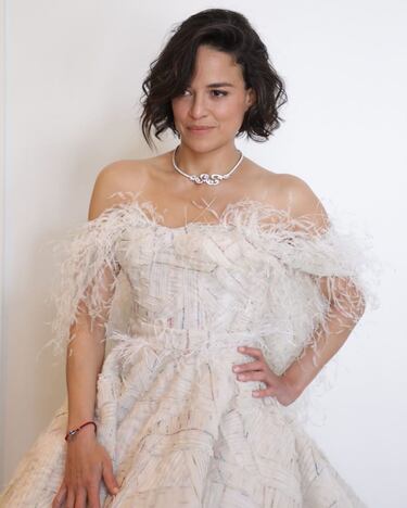 Michelle está encasillada en el papel de chica dura y no es para menos ya que en la vida real ha tenido varios incidentes con la justicia. En 2007 fue condenada a 180 en prisión tras saltarse la libertad condicional, después de tener un accidente de tráfico bajo los efectos del alcohol y darse a la fuga posteriormente.