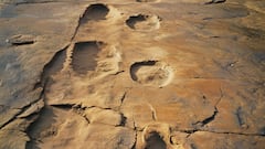 Scientists thought they were prehistoric footprints, the truth was far more exciting
