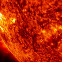 Descubren que la Tierra fue golpeada por una tormenta solar hace más de 2.500 años gracias a los árboles