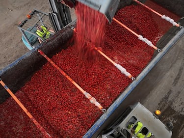 Cientos de personas han disfrutado de la fiesta. 