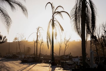 Imagen devastadora del barrio residencial Palisades que ha quedado totalmente destruido, por los incendios que  han arrasado ms de 15.000 hectreas en Los ?ngeles.