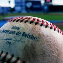 Gabriel Medina, presidente interino de la LMB