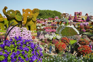 Los 10 campos de flores ms espectaculares del mundo