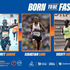 Kandie vuelve a la tierra de los sueños