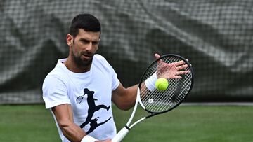 Conoce quiénes serán los tenistas más destacados del cuadro masculino y femenino que jugarán en Wimbledon 2023, el Grand Slam de hierba.