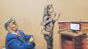 Lawyer Alina Habba gives closing arguments with former U.S. president Donald Trump watching in the Trump Organization civil fraud trial at New York State Supreme Court in the Manhattan borough of New York City, U.S., January 11, 2024 in this courtroom sketch.  REUTERS/Jane Rosenberg      TPX IMAGES OF THE DAY