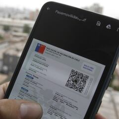 Pase de movilidad para niños: dónde puedo descargarlo y cómo hacerlo