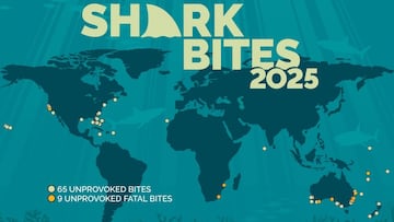 Shark Bites 2025 - Worldwide