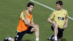 Cesc F&agrave;bregas y Xabi Alonso, con la selecci&oacute;n de Espa&ntilde;a en 2008.