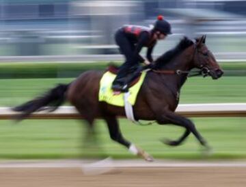 Entrenamiento para el Kentucky Derby.