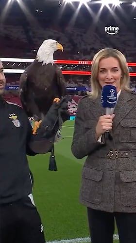 Esta periodista quedó anonadada tras dimensionar al animal.