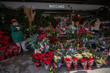 El truco para que tu flor de Pascua aguante todas las Navidades: evita colocarla en este lugar
