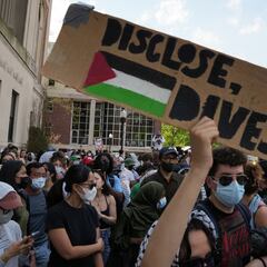 What is the pro-Palestine protest about, what’s the meaning and what are the most important organizations in the USA?