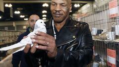 Mike Tyson - criar palomas. El temido ex boxeador encontró una manera de ''escaparse'' criando a estas aves. Tyson asegura que esta actividad lo relaja y le ayuda a olvidarse de lo que esté pasando a su alrededor. 