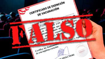 Carnet de vacunación: qué es el certificado de Exención y por qué no es válido