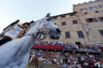 En Siena, desde mediados del siglo XVII, se celebra esta carrera de caballos a pelo con la intención de ganar el Palio, una bandera de seda que representa la Virgen con el Niño.