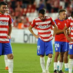 Cronología de un descenso