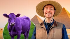 Mr. Beast revela el secreto para crear un contenido viral en redes: “Tienes que ser la vaca morada”