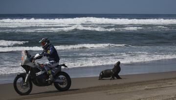 El piloto holand¨¦s Hans Jos Liefhebber conduce su KTM junto a una foca durante la quinta etapa del Rally Dakar 2018, entre San Juan de Marcona y Arequipa, en la playa de Puerto Lomas (Per¨²).