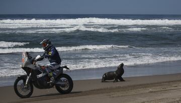 El piloto holandés Hans Jos Liefhebber conduce su KTM junto a una foca durante la quinta etapa del Rally Dakar 2018, entre San Juan de Marcona y Arequipa, en la playa de Puerto Lomas (Perú).