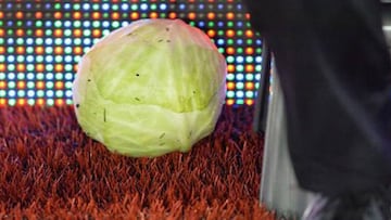 El repollo que fue tirado contra Steve Bruce, técnico del Aston Villa.