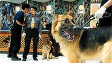 <B>MÁXIMA SEGURIDAD</B>. La policía rastreó con perros el hotel del Madrid.