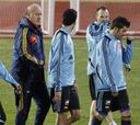 Vicente del Bosque celebra la recuperación de David Villa