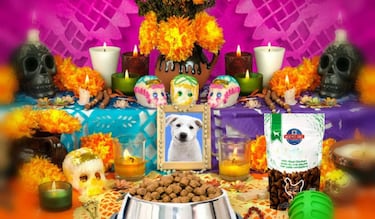 Esta es la fecha en la que se pone la ofrenda para las mascotas en Día de los Muertos