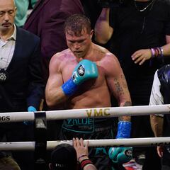 Turki Al-Sheikh ya le lanzó una oferta a ‘Canelo’ para pelear contra Crawford