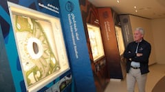 Mark Hughes: Qatar should be proud of its preparations for 2022