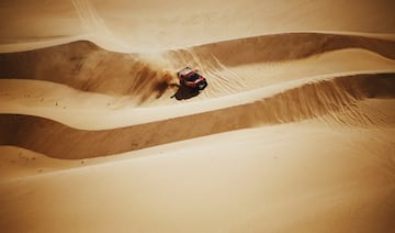 Sebastien Loeb y Daniel Elena.