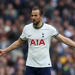 Berbatov: “Kane sería un gran fichaje para el Real Madrid”