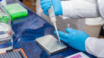 CH01. TALCA (CHILE), 06/08/2020.- Fotografía cedida por la Universidad de Talca del 30 de julio de 2020, que muestra a un investigador de la Universidad Autónoma de Chile, mientras trabaja en el desarrollo de test rápidos, efectivos y de bajo coste para detectar la COVID-19, en un laboratorio de la Universidad de Talca, al sur de Santiago (Chile). Científicos chilenos desarrollaron un test para detectar COVID-19 más económico que el PCR y no patentaron la técnica para que cualquier país, especialmente los que tienen problemas para realizar las pruebas, puedan utilizar esta metodología. EFE/ UNIVERSIDAD DE TALCA/ SÓLO USO EDITORIAL / NO VENTAS