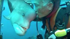 El buceador Hiroyuki Arakawa besando un Semicossyphus reticulatus.