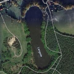 El idílico lago está en peligro, los biólogos descartan a los peces como el problema y topan con la clave en las algas