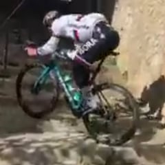 Genio y figura: Sagan y su atajo por las calles de Mallorca