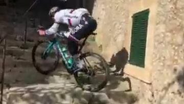 Genio y figura: Sagan y su atajo por las calles de Mallorca