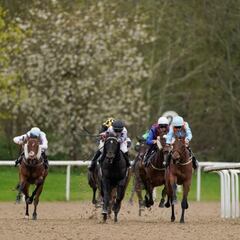 Kylian, el caballo a seguir este sábado en Wolverhampton