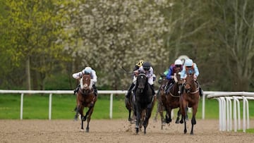 Kylian, el caballo a seguir este sábado en Wolverhampton