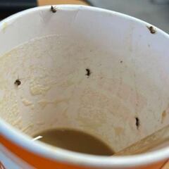 La joven que bebió un café con insectos: “A mi novio le dijeron que gracias que no llegué cadáver”