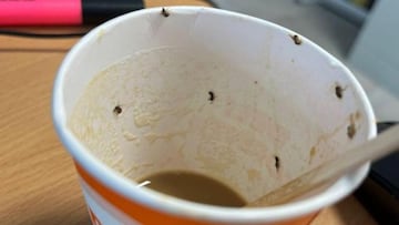 La joven que bebió un café con insectos: “A mi novio le dijeron que gracias que no llegué cadáver”